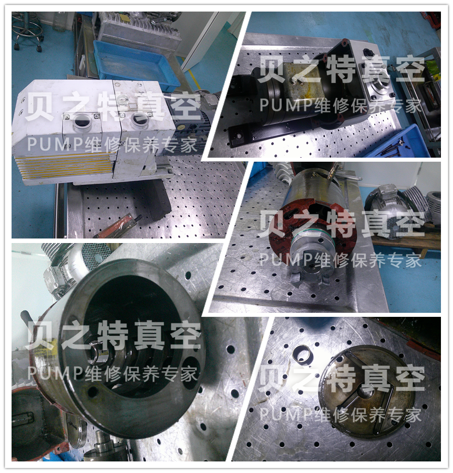 萊寶雙級(jí)旋片泵d65b維修