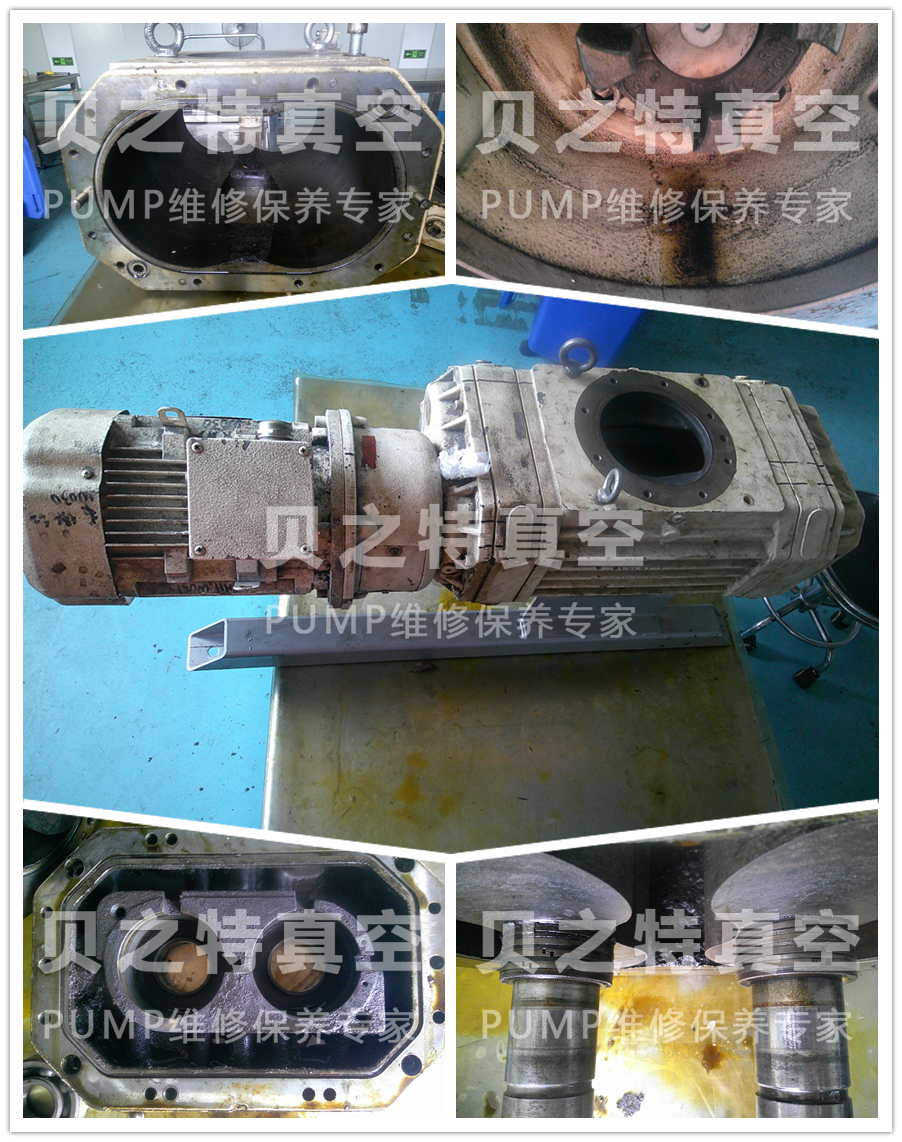 普旭羅茨真空泵WP1250D2維修保養(yǎng)