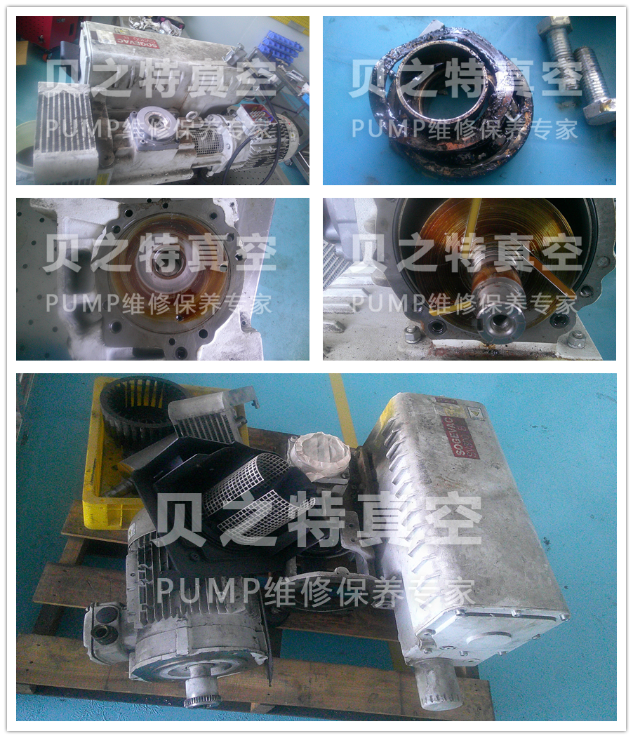 上海SV300B萊寶真空泵故障維修保養(yǎng)